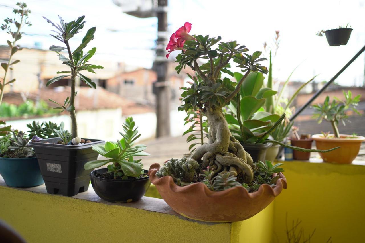 بورتو سيغورو Porto Hostel المظهر الخارجي الصورة